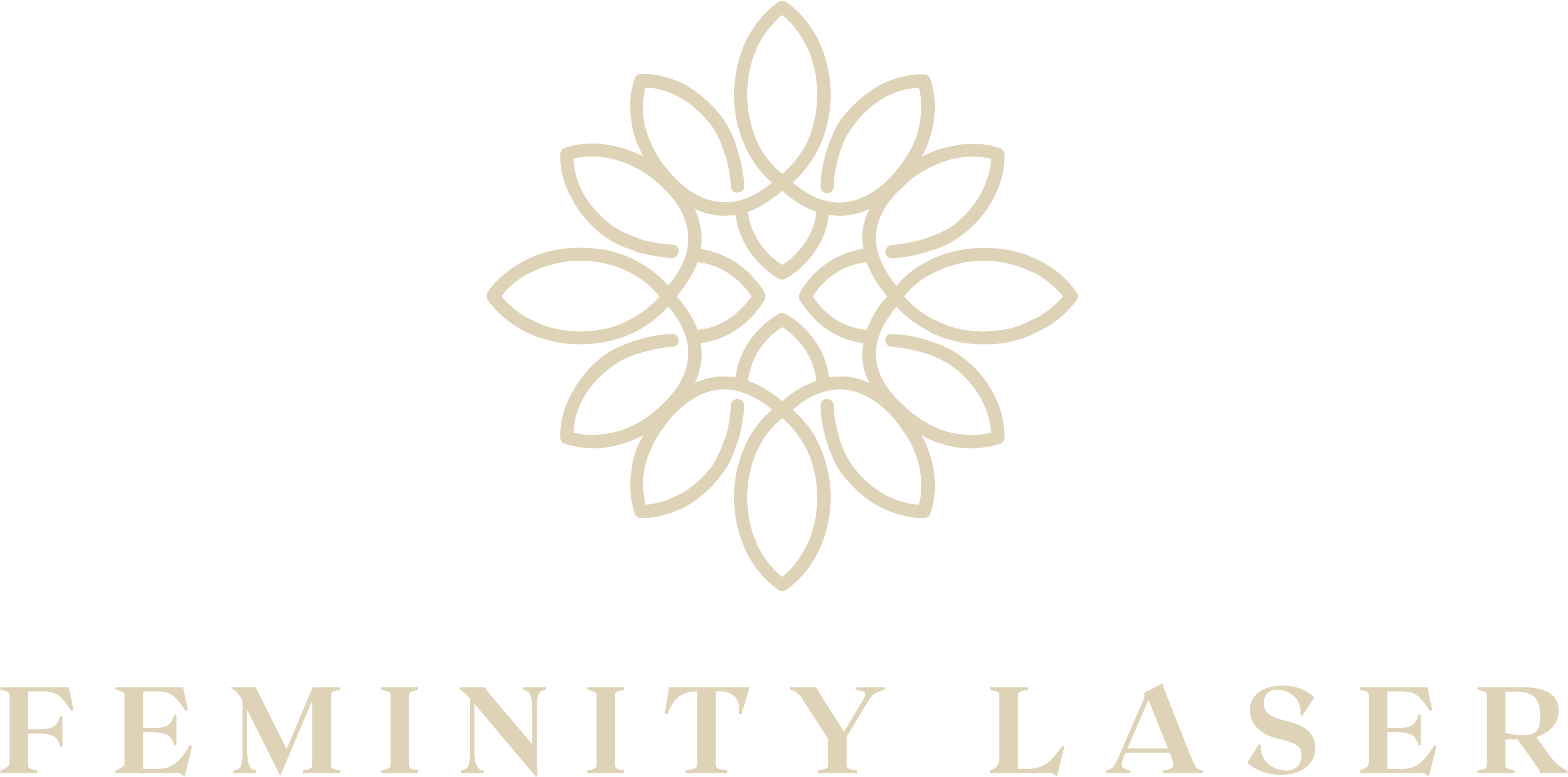 Feminity Laser